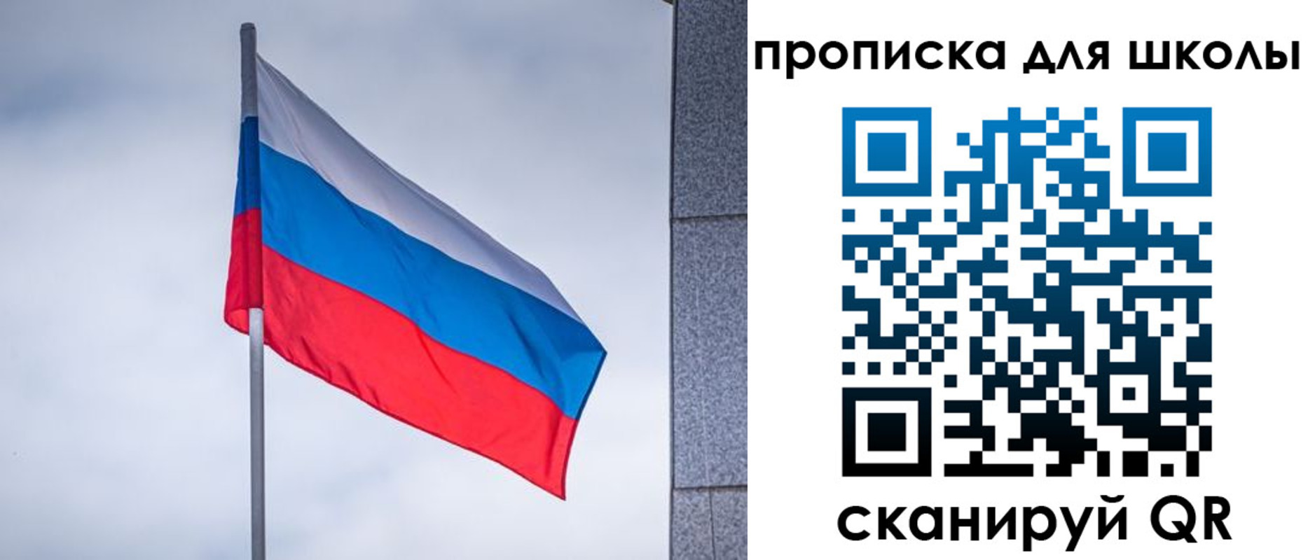 временная регистрация собственник в Московской области
